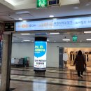 부산 서면 사주 미래안 사주타로 관상과 손금까지