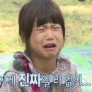 해피브라운