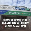 제주위미농협하나로마트 이미지