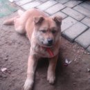 찬기농장 이미지