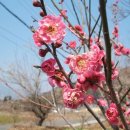 해봐다방 이미지