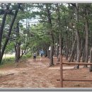 송포항 Daum카페