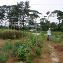 도영농장 이미지