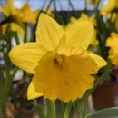 수선농장 이미지