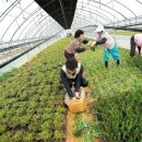 열린미생물농장 이미지