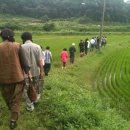 구원농장 이미지