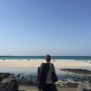 토요바이올린(오전) 이미지