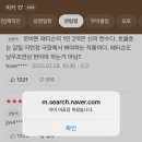 꽃잎 사이로 봄.