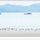 용난굴해수욕장 티스토리