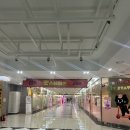 헤어멍펫살롱 이미지