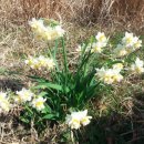 청주오토샵 이미지