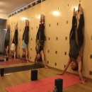 테라피요가 B 이미지