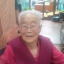 백세농업 이미지