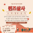 퀸즈살사(안산살사) 수요 낮정모 11/15 이미지