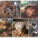 강매농장 이미지