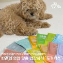 저단38 | 반려견 건강관리를 위한 영양만점 맞춤 화식 도거박스