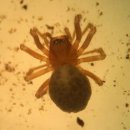 산호동509 이미지