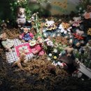 테지움사파리 이미지