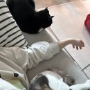 [일상] 5월 일기