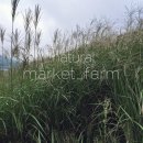 E.G.FARM 네이버블로그