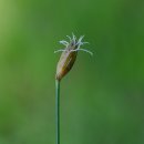 하늘지기 이미지