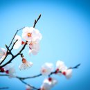 꾸준한공인중개사사무소 이미지