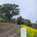 진경태양광 | 기당미술관 신소장품전'기당컬렉션:조화', 화가 변시지 작품 후기.2023.제주도 전시 리뷰.