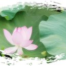 산들 태양광발전소 이미지