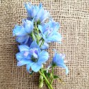 파주약국 이미지