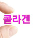 족발애 이미지