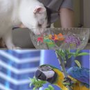 도일농장 이미지