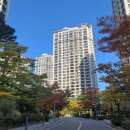 연세예스약국 이미지