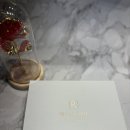 천연여성청결제 레쥬비셀 와이굿 이너세럼 후기