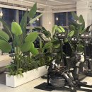 짐투짐 여성전용 PT | 하남: 미사역헬스장 예비신부 다이어트, 여성전용 레이디짐 방문기 미사 그룹PT 리얼 후기