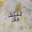 쌀 이미지