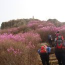 행복동산
