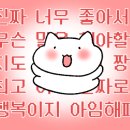 유살롱(You 살롱)
