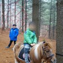 별빛체험마을 이미지