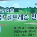 울산골프레슨전문 이미지