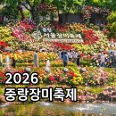 중랑천변3(다락원) | 2026 중랑장미축제 일정 가는길 주차장 프로그램 총정리