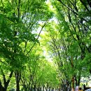 돌과 바람 호스텔 이미지