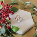 엘도라도시티 이미지