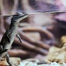 스마트365치과의원 | 결국 치과 갈 때 됐다는 신호가 왔죠