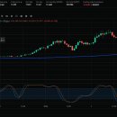 리버(river) 이미지