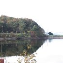 송석지낚시터 Daum카페