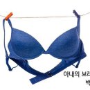 아내의 브래지어 이미지
