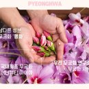 무궁