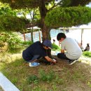 동원초등학교 이미지