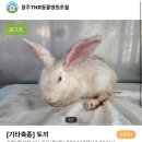 광주TNR동물병원(초월) 이미지