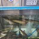 쭈니 24시 무인카페 이미지